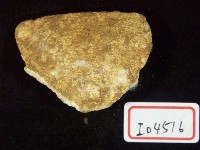 藏品(鹿類臼齒.碎肢骨)的圖片